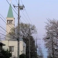 画像243